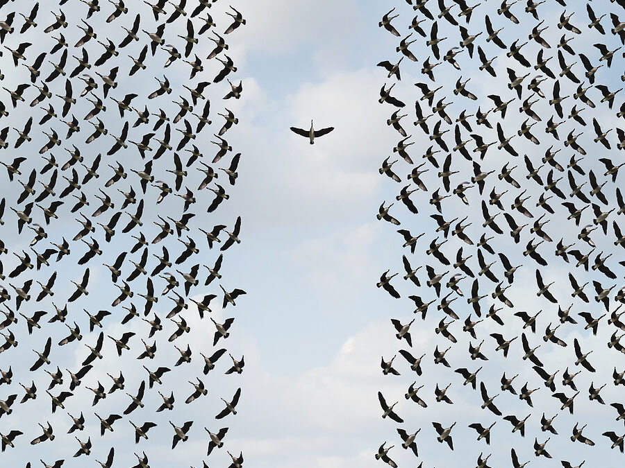 Courageous Leadership: Lent Practices for Church Leaders